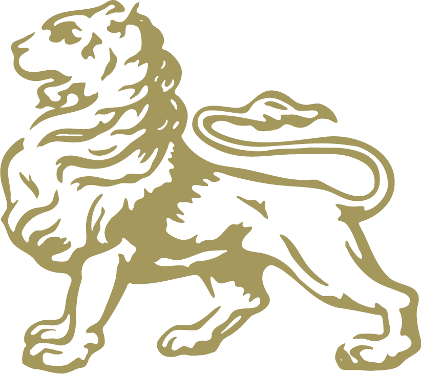 head lion no typo logo